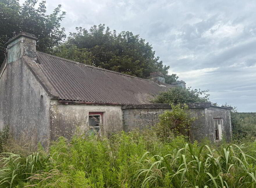 Shragh, Kilrush, V15X046