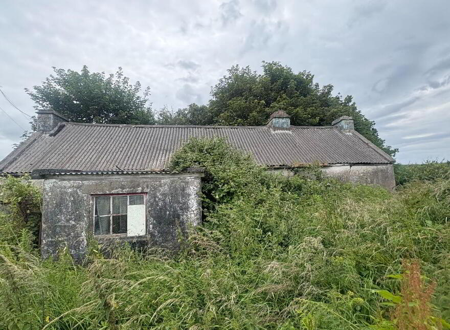 Shragh, Kilrush, V15X046