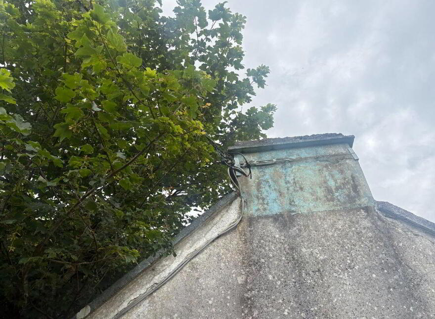 Shragh, Kilrush, V15X046