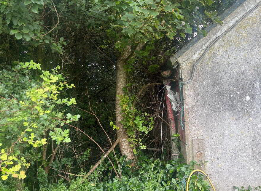 Shragh, Kilrush, V15X046
