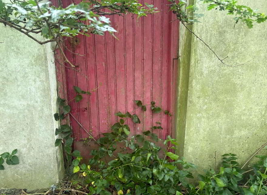 Shragh, Kilrush, V15X046