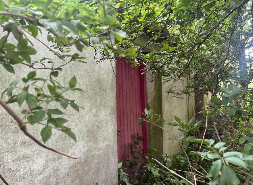 Shragh, Kilrush, V15X046