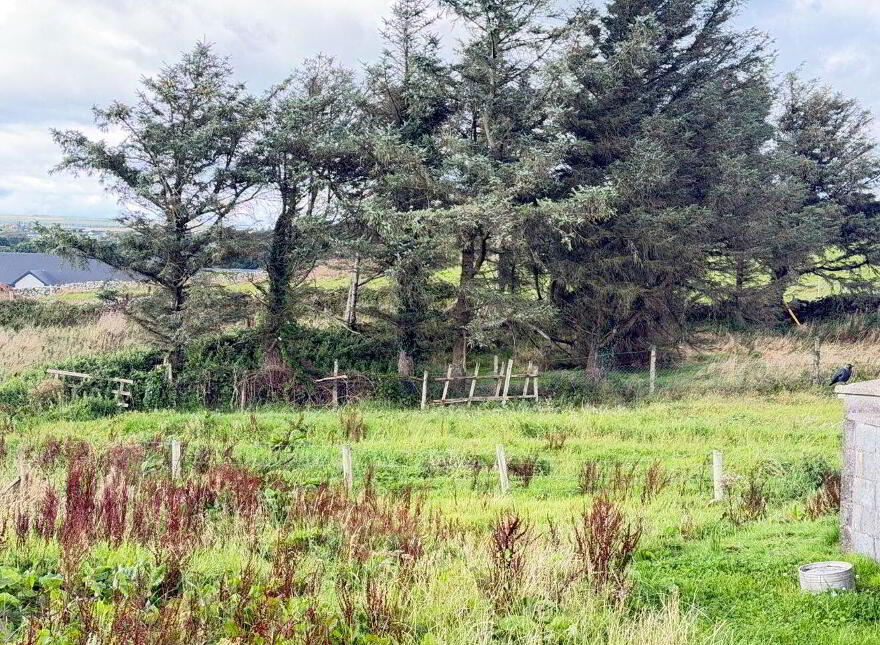 Deerpark West, Ennistymon, Lahinch, V95X5E5