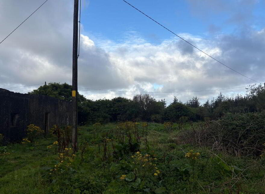 Knockaskeheen, Lisdoonvarna, V95K5W4