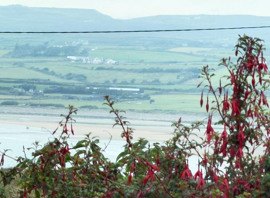 Saint Patrick's, Lahinch, V95H6T4
