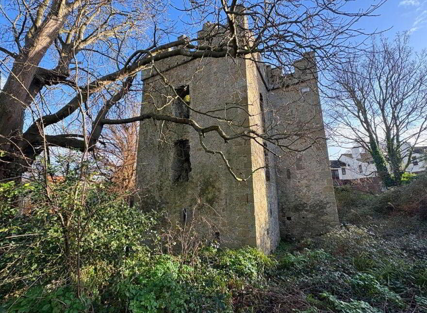Dundrum Castle, Dundrum, Dundrum, D14