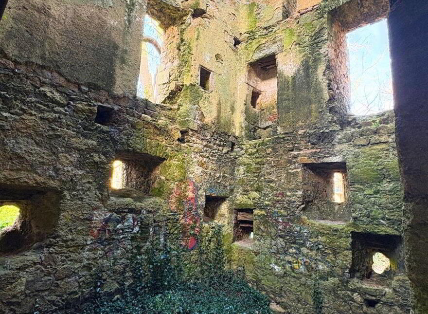 Dundrum Castle, Dundrum, Dundrum, D14