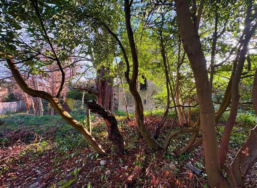Dundrum Castle, Dundrum, Dundrum, D14