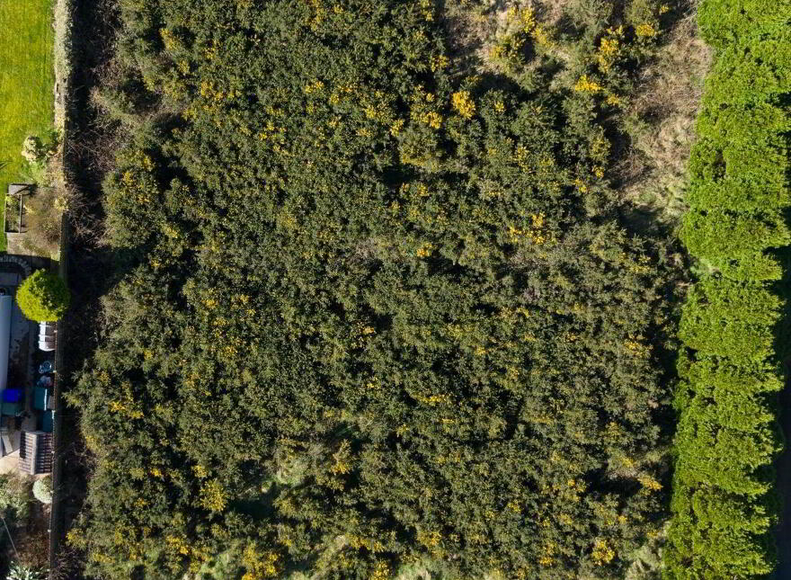 Site, In Coolguerisk, Knockraha