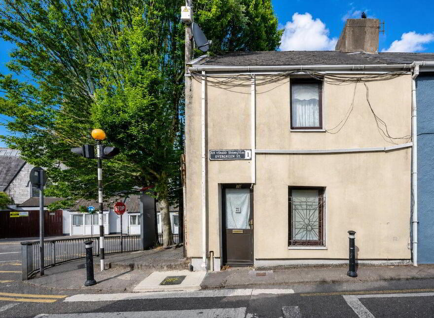70 Evergreen Street, Cork City, T12F8Y2