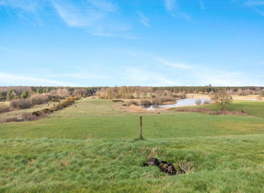Ballinvalley, Delvin, N91CH52