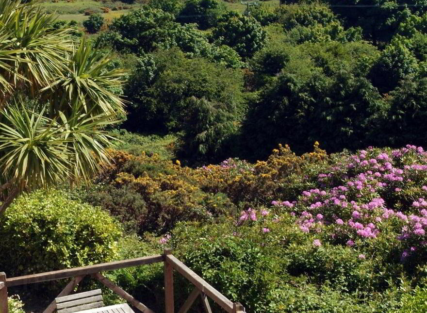 Entire Holding - House And Detached Outbuildings O, Windgate Road, Howth, Howth, D13P990