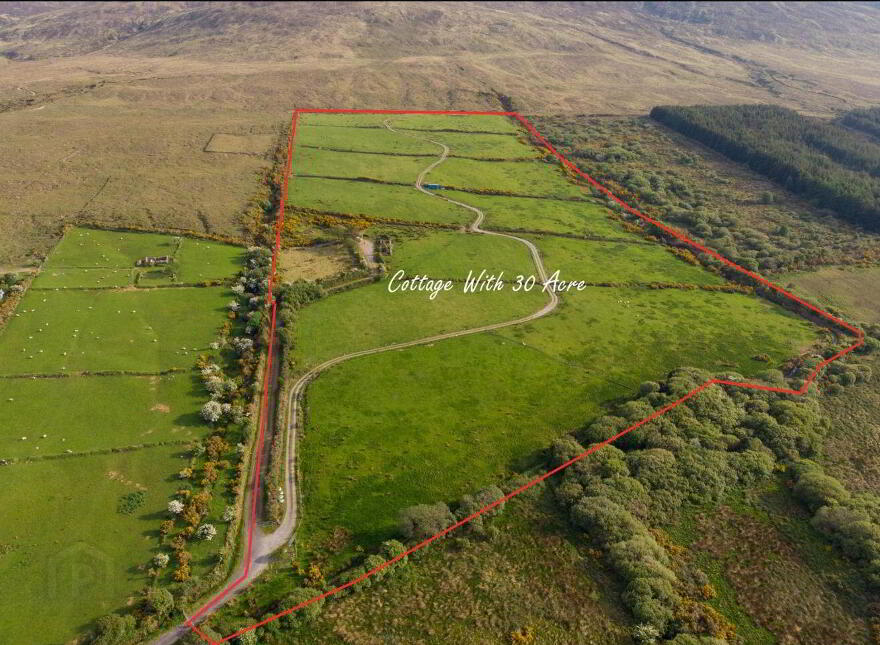 Tonevane, Tralee