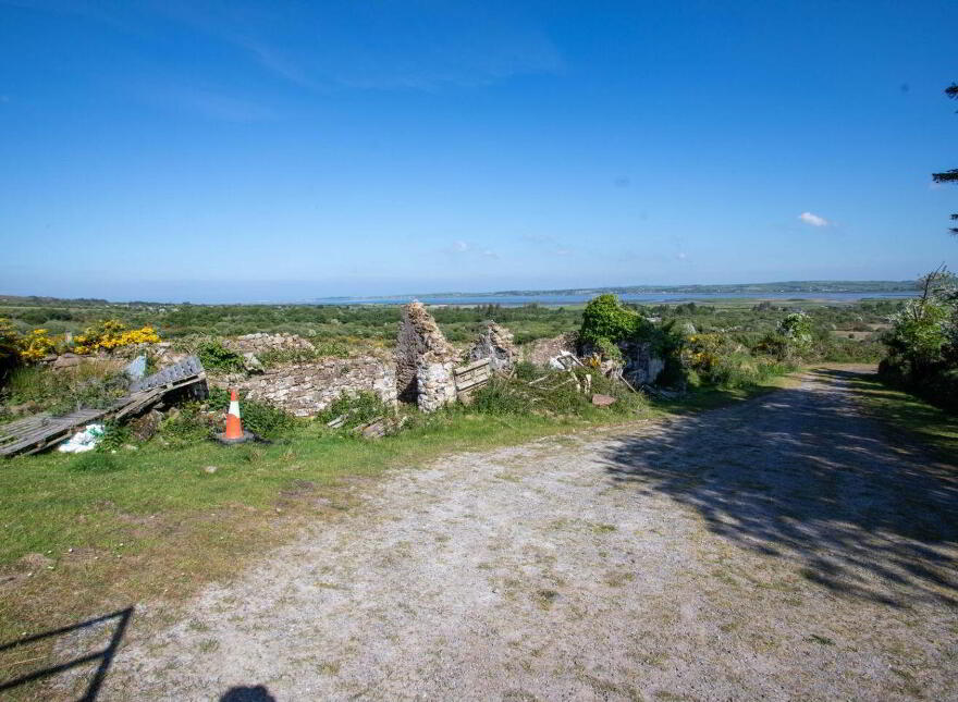 Tonevane, Tralee