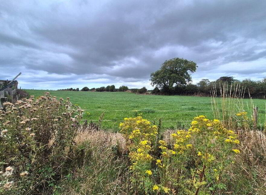 Baltovin, Ardfert, Tralee, V92X279