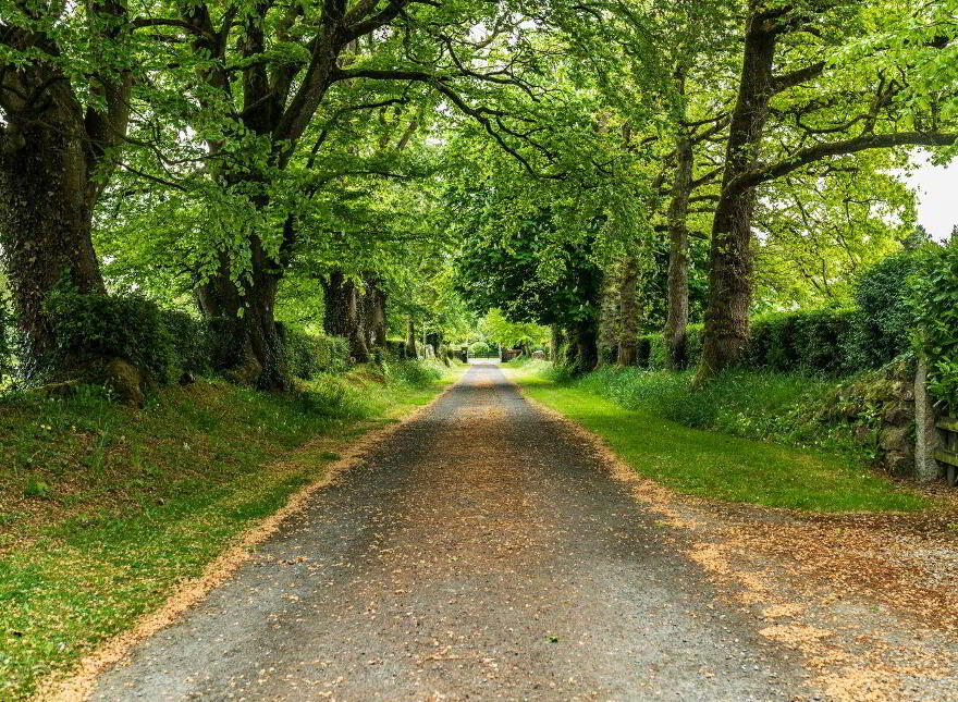 Clonmoyle House, Clonmoyle, Rathangan, R51W521