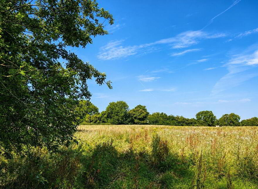 4.5 Acres, Thomastown, Kilcullen photo