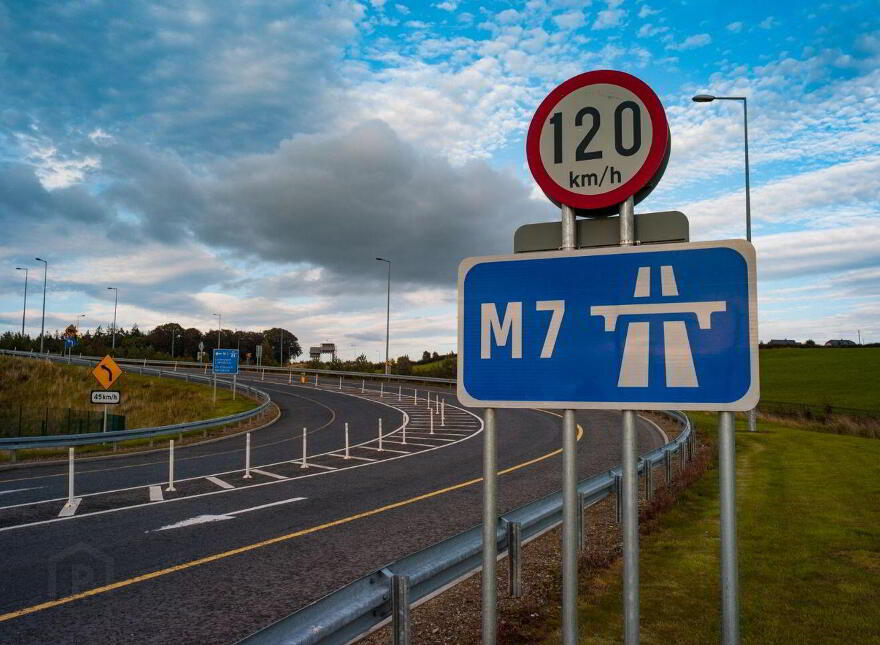 C. 13 Acres, Higgs Lane, Portlaoise