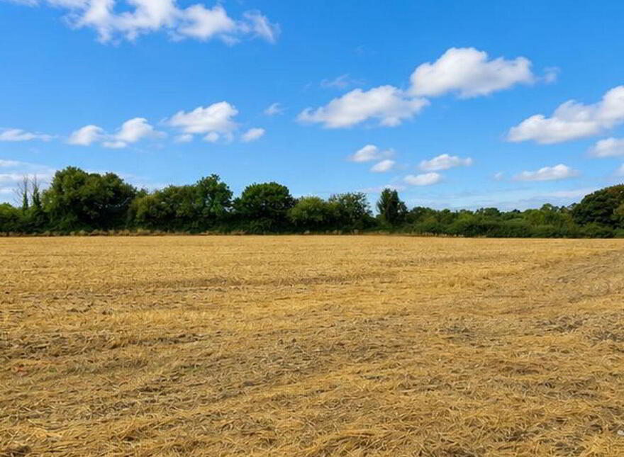 C. 21 Acres, Blackchurch & Tuckmilltown, Kill