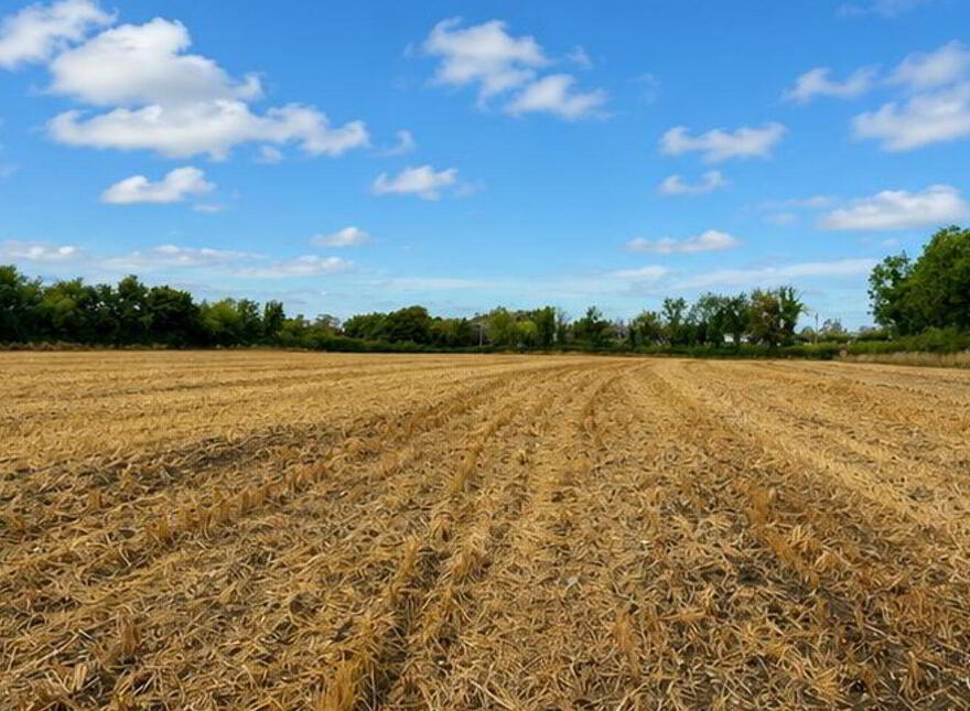 C. 21 Acres, Blackchurch & Tuckmilltown, Kill