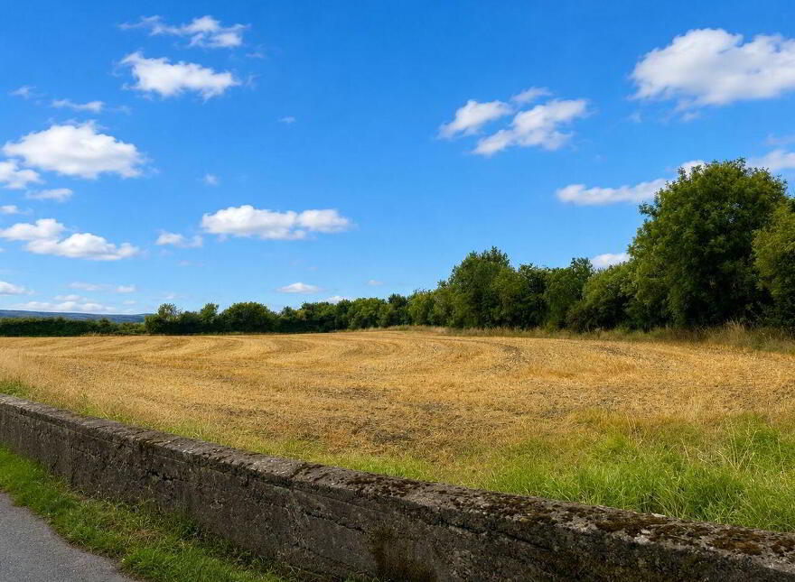 C. 14.5 Acres, Blackchurch & Tuckmilltown, Kill