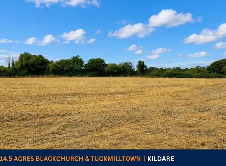 C. 14.5 Acres, Blackchurch & Tuckmilltown, Kill photo