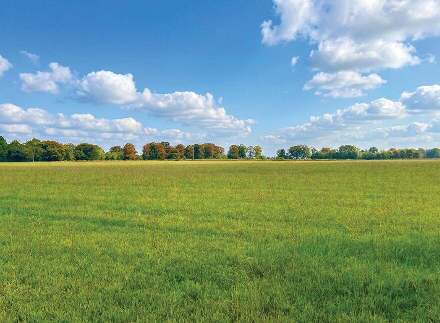 C. 32 Acres, Moorhill, Brannockstown