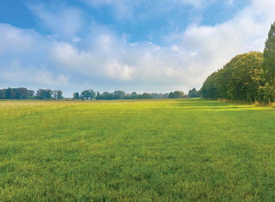 C. 32 Acres, Moorhill, Brannockstown