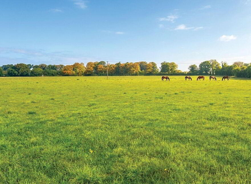 C. 32 Acres, Moorhill, Brannockstown