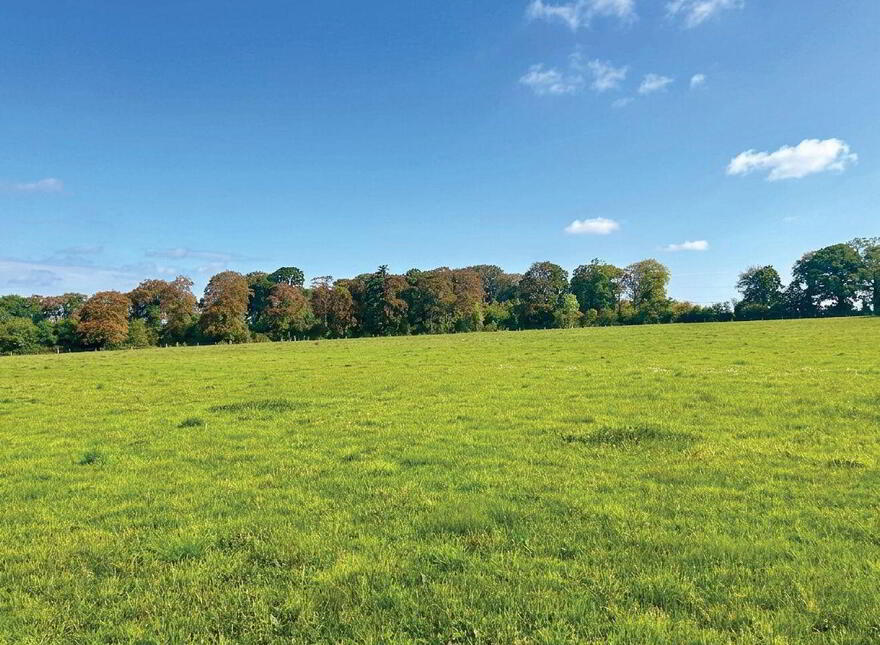 C. 32 Acres, Moorhill, Brannockstown