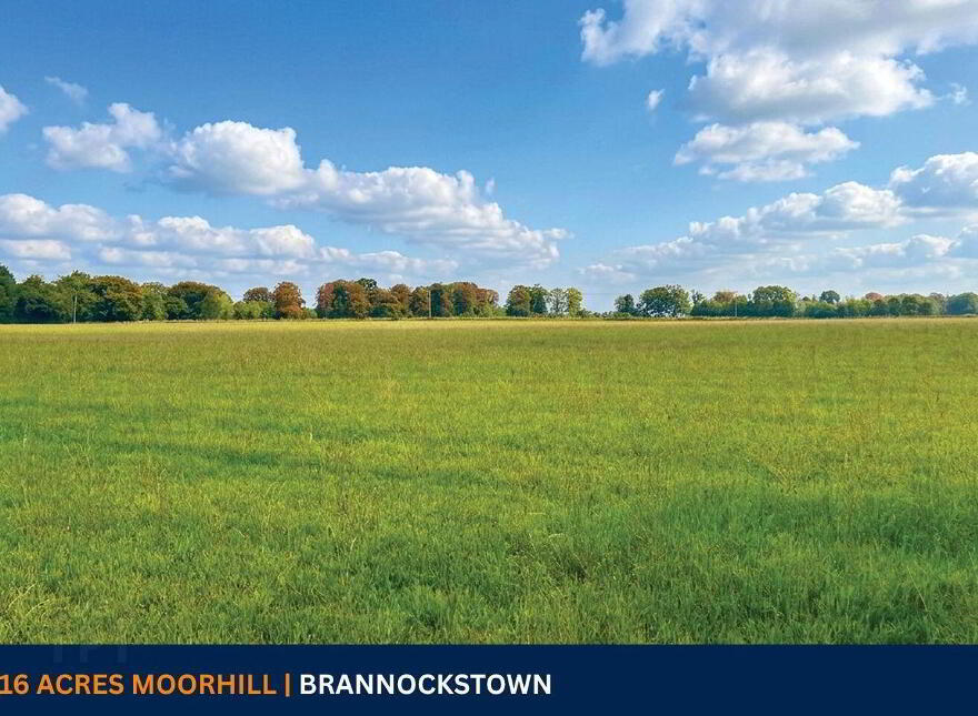 C. 16 Acres, Moorhill, Brannockstown photo