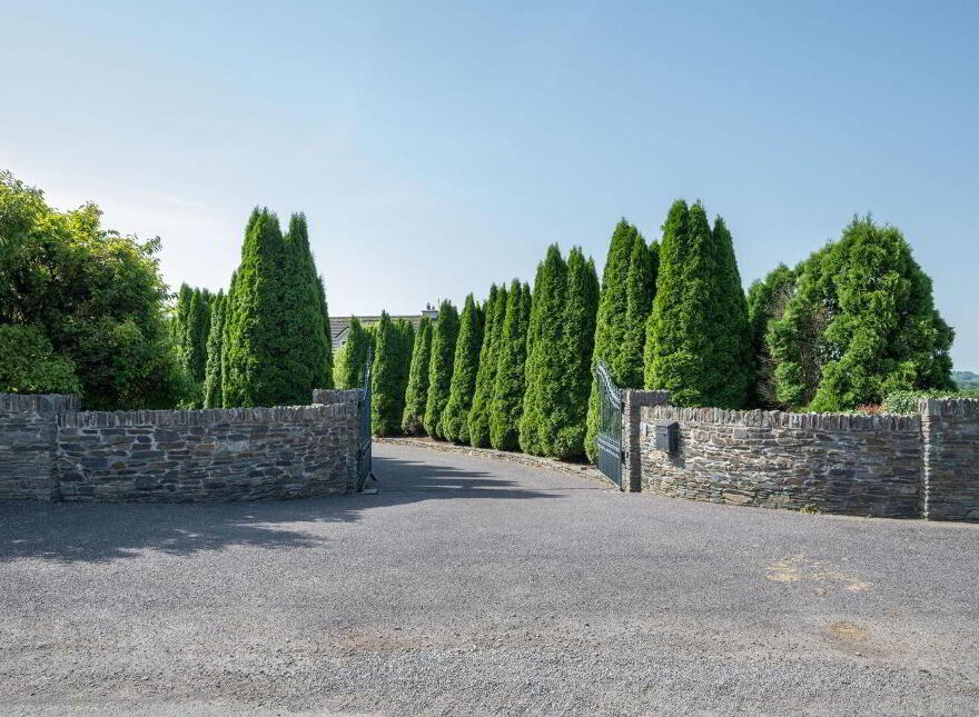Ballygroman Upper, Ovens, P31HE06