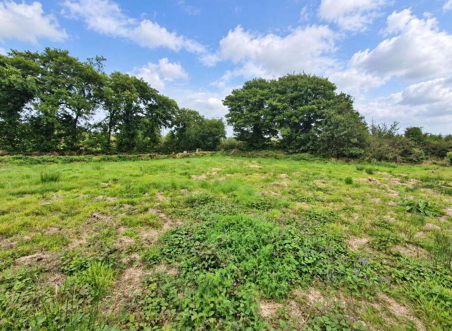 Gowlane North, Donoughmore, Donoughmore, P32DP86