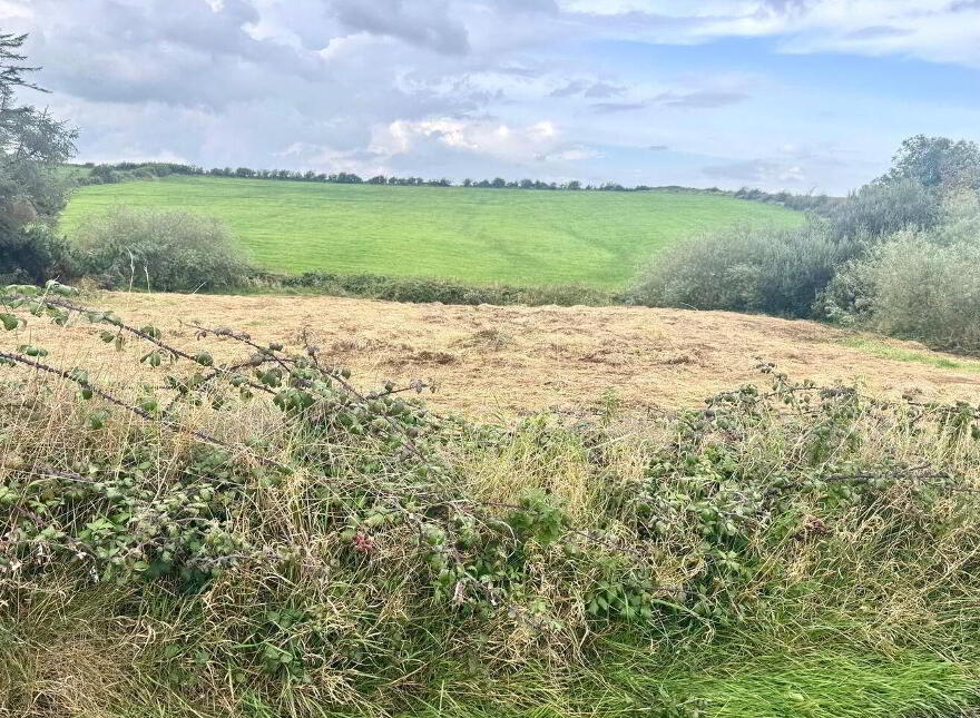 Ballybreen, Kilfenora photo