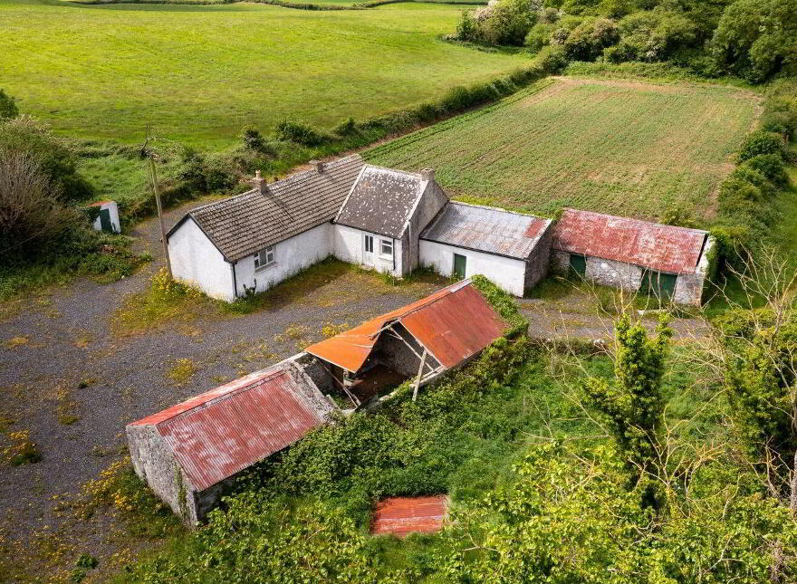 Glasshouse, Blue Ball, Tullamore, R35W897