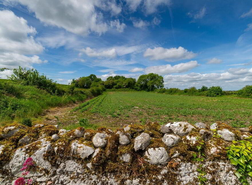 Glasshouse, Blue Ball, Tullamore, R35W897