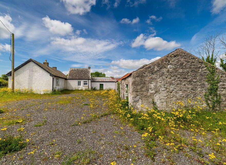 Glasshouse, Blue Ball, Tullamore, R35W897