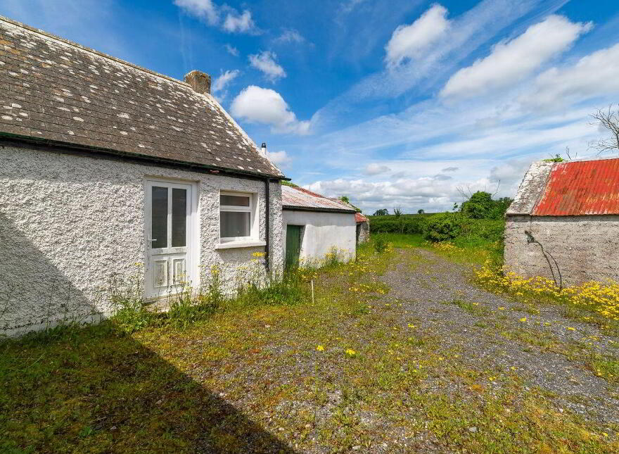 Glasshouse, Blue Ball, Tullamore, R35W897
