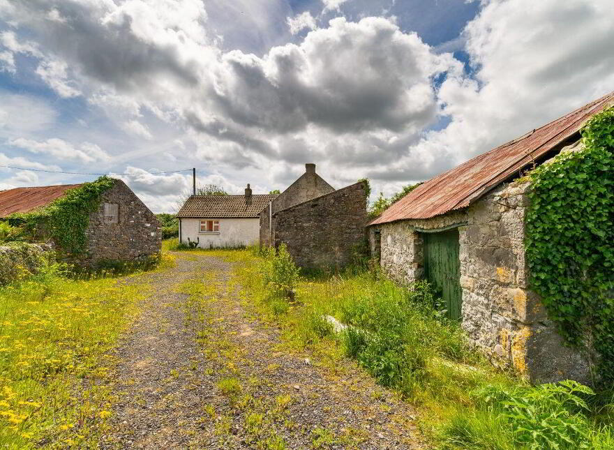 Glasshouse, Blue Ball, Tullamore, R35W897