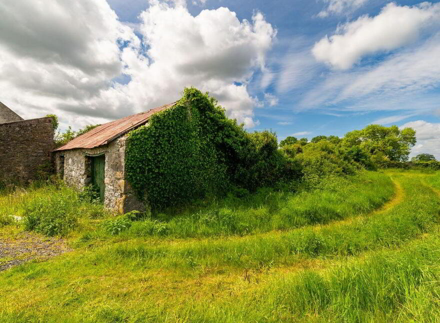 Glasshouse, Blue Ball, Tullamore, R35W897