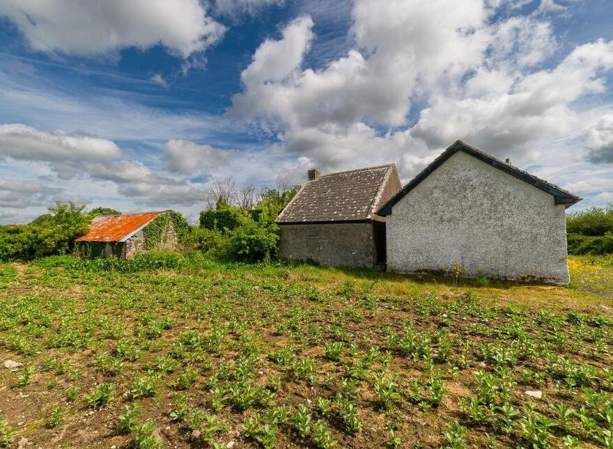 Glasshouse, Blue Ball, Tullamore, R35W897
