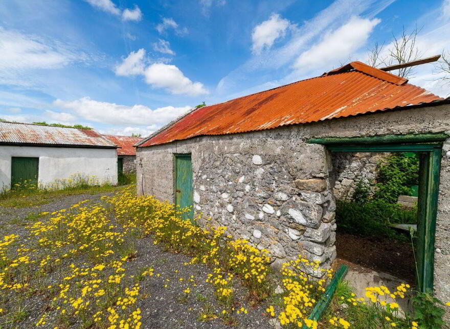 Glasshouse, Blue Ball, Tullamore, R35W897