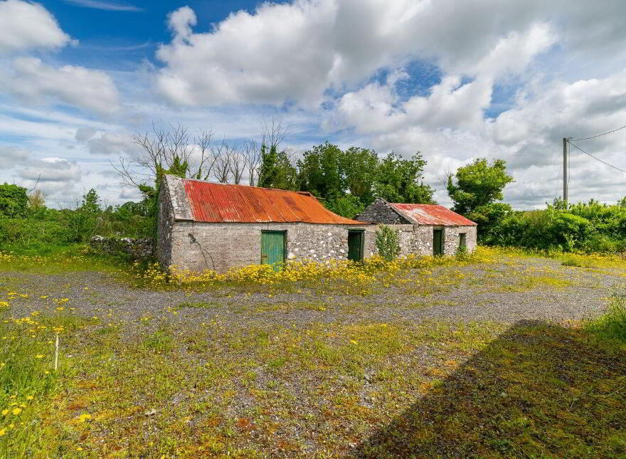 Glasshouse, Blue Ball, Tullamore, R35W897