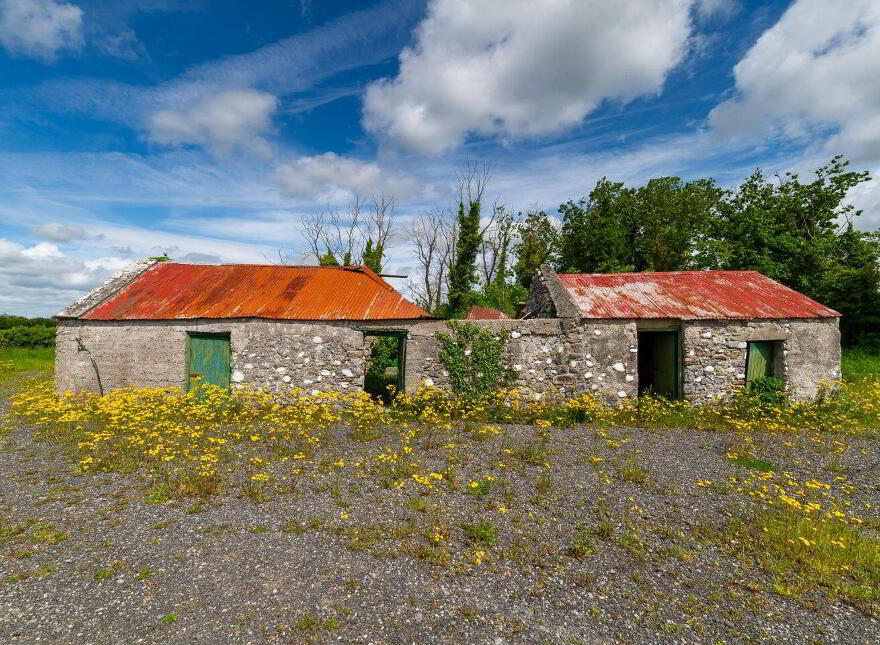 Glasshouse, Blue Ball, Tullamore, R35W897