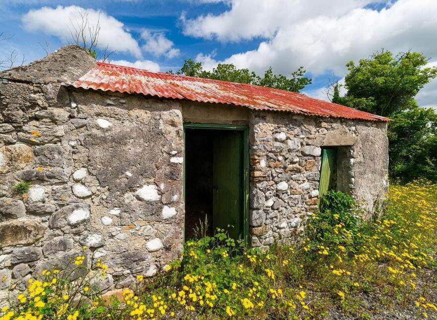 Glasshouse, Blue Ball, Tullamore, R35W897