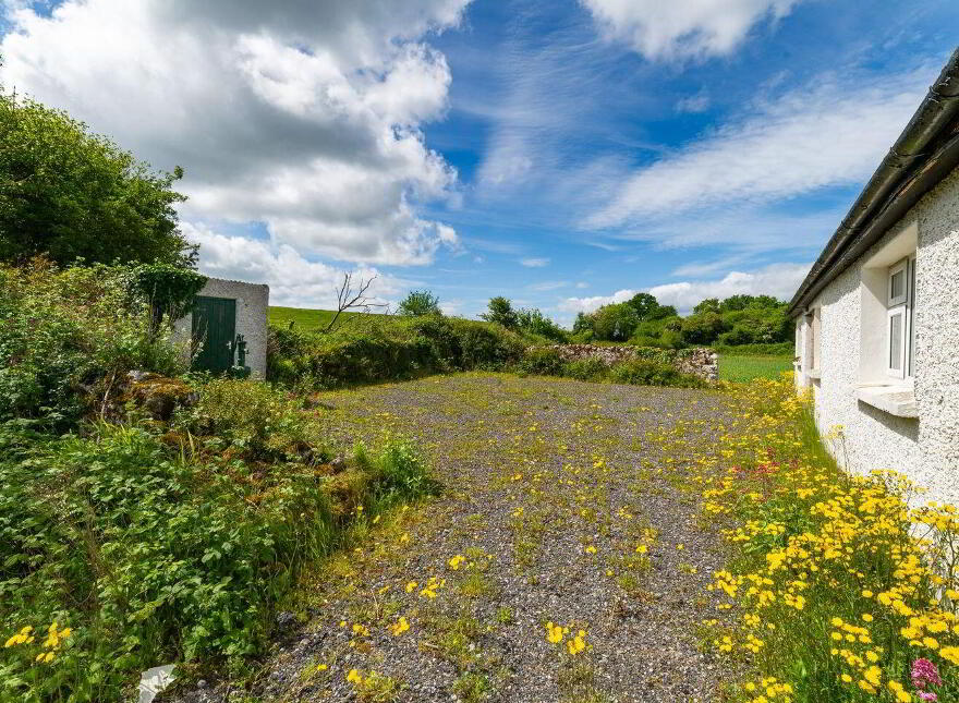 Glasshouse, Blue Ball, Tullamore, R35W897