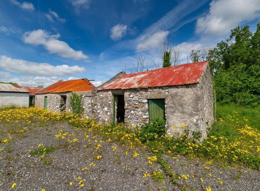 Glasshouse, Blue Ball, Tullamore, R35W897