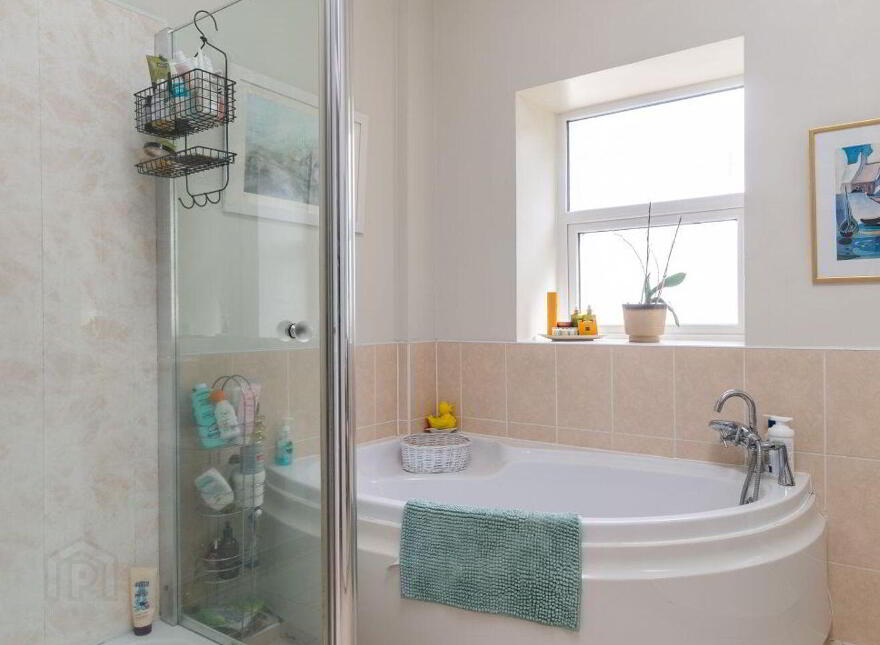Main Street, Portarlington, R32V21D