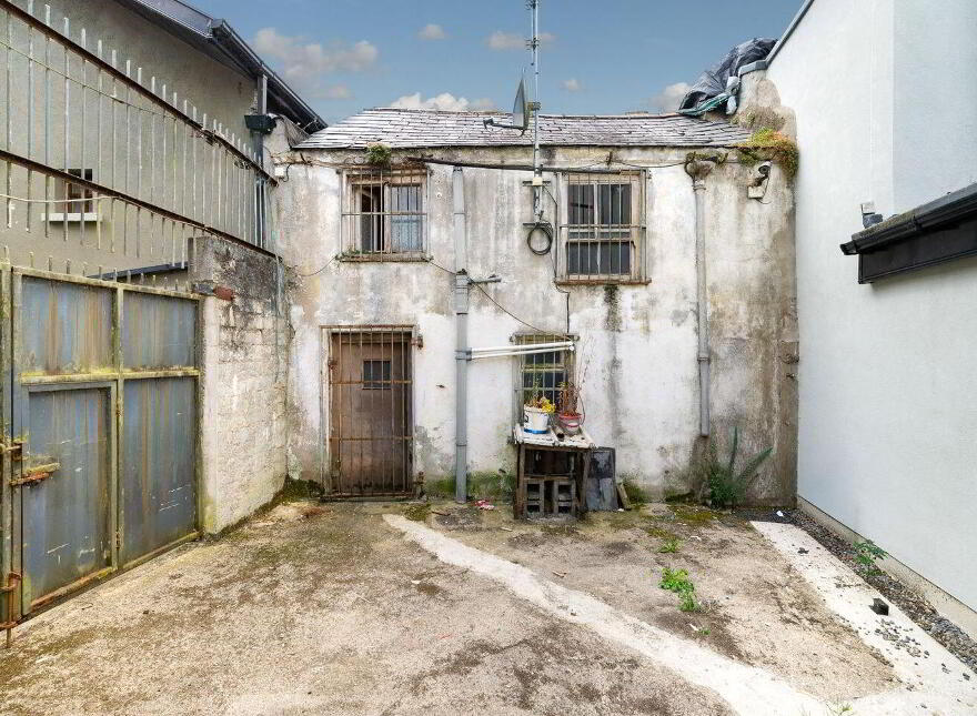 Main Street, Monasterevin, W34T954