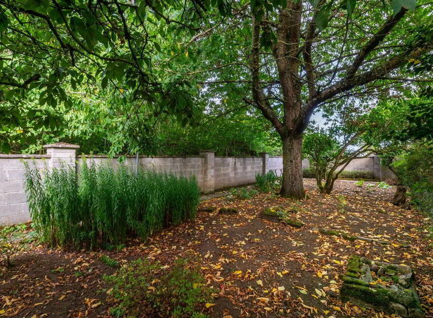 29 Patrick Street, Portarlington, R32YT71